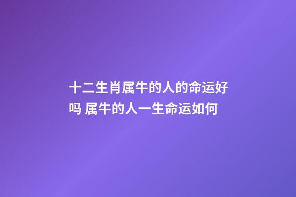 十二生肖属牛的人的命运好吗 属牛的人一生命运如何-第1张-观点-玄机派